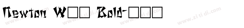 Newton W01 Bold字体转换